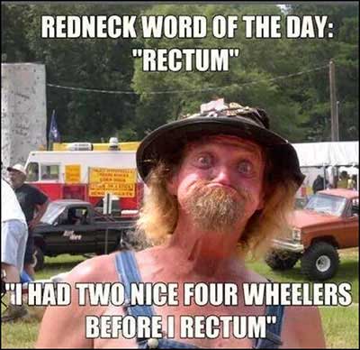 Rectum