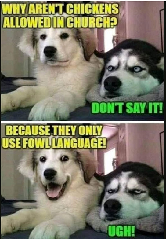 Fowl Language